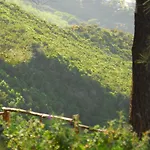 Eoliano Bed & Breakfast Malfa (Salina)