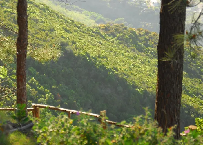 Eoliano Bed and breakfast Malfa (Salina)